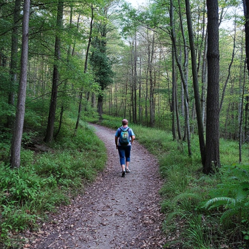 Walking every day improves cardiovascular and mental health.